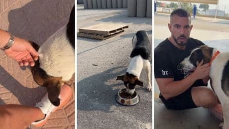 El cabreo de 'Cenando con Pablo' al encontrar un perro abandonado en una gasolinera