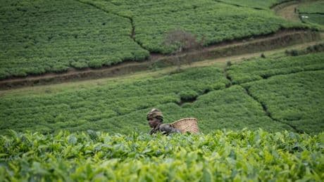 Rwanda: une forte croissance, mais des inégalités persistantes, selon un rapporteur de l’ONU