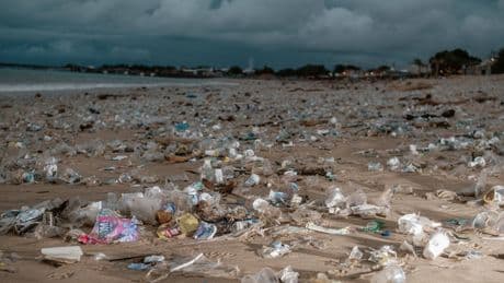 Umwelt: „Wenn wir morgen auf Plastik verzichten würden, wäre unser Leben kein Stück nachhaltiger“