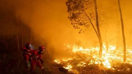 Spain wildfires LIVE: Foreign Office's new advice amid 'very high' fire threat
