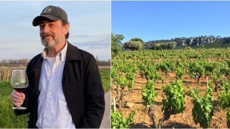 Trump, ecco come la piccola azienda vinicola Vos Selections ha convinto i giudici a bloccare i dazi