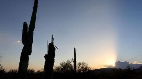 Why Climate Migration Is The Next Economic Shock—And Opportunity