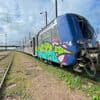 Que deviennent les trains qui ne roulent plus ? Bienvenue dans ce « cimetière » où ils sont stockés