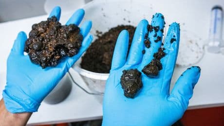 Mijnbouw in je achtertuin? Zweden daagt burgers uit om te graven
