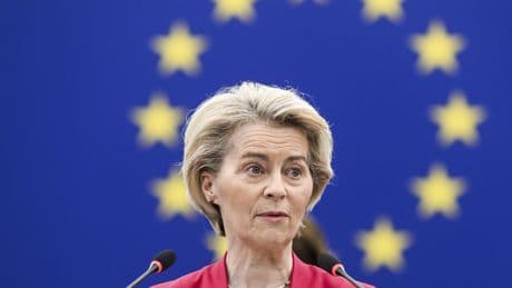 Trump’s tariffs on EU delayed after call with bloc chief on trade talks