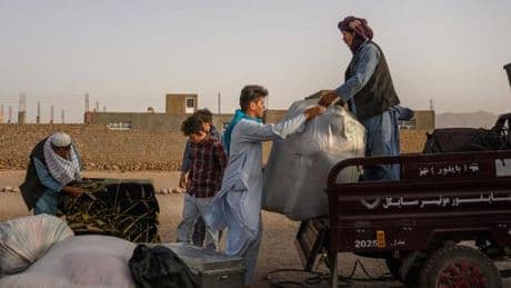 Des Afghans expulsés d’Iran : « J’ai peur pour nous les femmes »