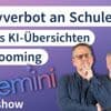 #heiseshow: Showrooming, Handyverbot an Schulen, Googles KI-Übersichten