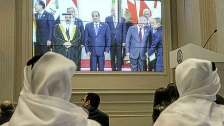 Face à la guerre à Gaza, le jeu complexe des pays arabes