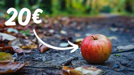 Wissen viele gar nicht: Wenn Sie das im Wald machen, droht Ihnen (theoretisch) ein Bußgeld