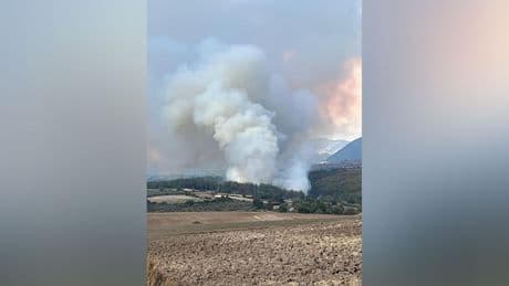 Osmaniye'nin ormanları yanıyor