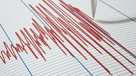 Bingöl'de korkutan deprem!