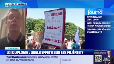 Loi Duplomb: "Le choix qu'a fait la France, c'est l'importation", déplore Franck Sander, (CGB)