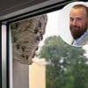 Wasps making our lives a misery: How can we get our neighbour to tackle a nest while we try to sell our home?