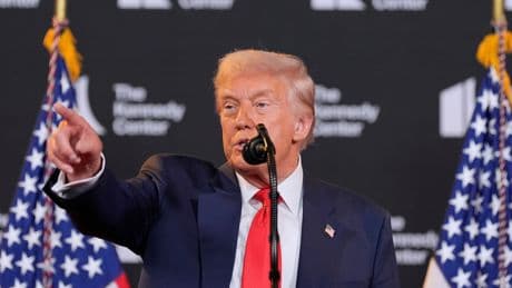Trump will bei Putin-Treffen in Alaska hiesige Bodenschätze für Frieden anbieten