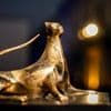 Film: Filmfest Locarno: Deutsche mehrfach ausgezeichnet