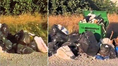 Vatandaş isyanda CHP'li belediye uykuda! Çöp yığınları 1 aydır toplanmıyor