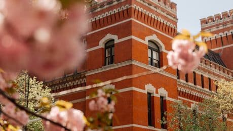 In New York, Art Abounds This May Amid Market Uncertainty