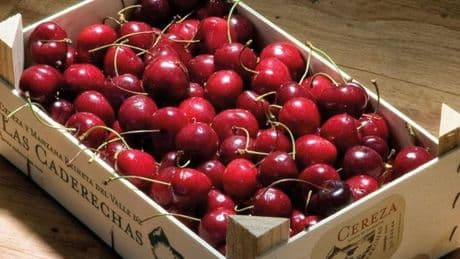 La Plaza Nueva se llenará con más de 3.500 kilos de cerezas este sábado