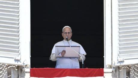 Pope Leo urges end to "pandemic of arms" after Minnesota shooting