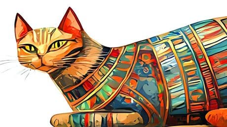 Diez mitos sobre tu gato que deberías desterrar