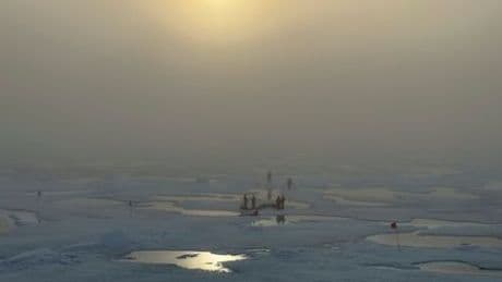 Nordpol-Expedition der Polarstern: Forscher befürchten Ökokollaps im Eismeer