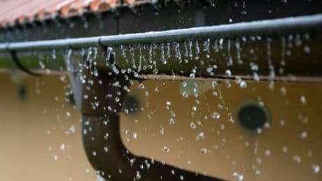 Es wird nass in Deutschland, aber: - Reicht der Regen, der jetzt kommt?