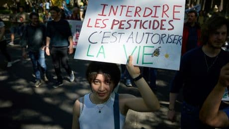 Pesticides: l'agence sanitaire alerte sur des effets néfastes pour la santé des jeunes enfants