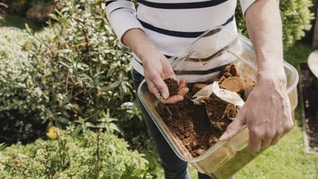 Nicht für alle gut: Bei 10 Pflanzen sollten Sie auf keinen Kaffeesatz-Dünger verwenden