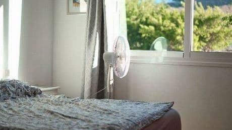 Fans will cool your home down quicker when cleaned using 1 bedroom staple