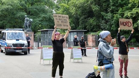 Zoo kills 12 baboons despite protests from animal rights groups