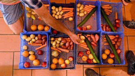 La Cour des comptes appelle l’État à mieux piloter l’aide alimentaire