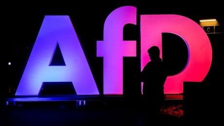 Germany’s AfD listed as ‘right-wing extremist’ party by intel agency