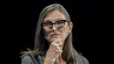 USA: „Kann Märkte öffnen“ – So bewertet Investorin Cathie Wood Trumps Zollpolitik