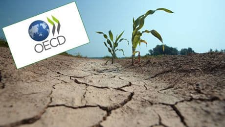 OECD'den uyarı: Kuraklık, ekonomik yükü artırtıyor
