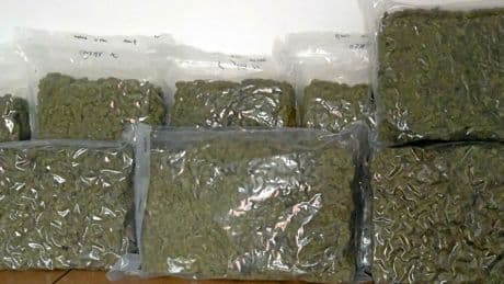 Nouvelle route de la drogue : le cannabis made in Montréal