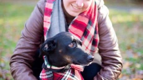 Nova Scotia pet owner shares story after her dog dies suffocating on a chip bag