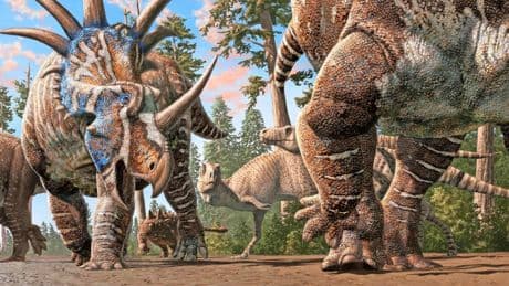 Dinosaurier Spuren: Verräterische Fußstapfen