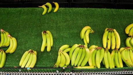 Panama: Chiquita gegen Gewerkschaften
