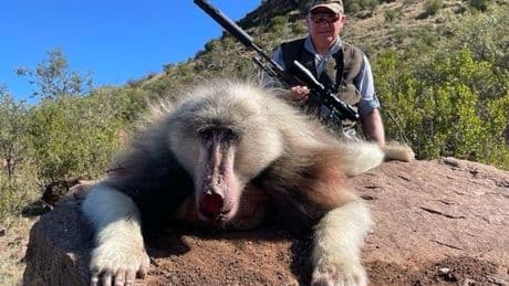 British hunter kills rare albino baboon on sick trophy hunting trip