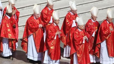 Alle kardinalen die stemmen in conclaaf aangekomen in Rome