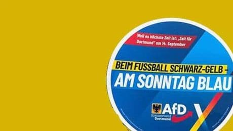 L’Afd crea un adesivo coi colori del Borussia Dortmund e il club li diffida: “Devono ritirarli”