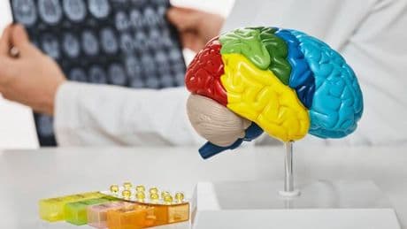 Le lithium inverse les symptômes d’Alzheimer chez les souris