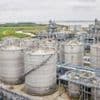 Biofuel plant 'faces closure after US trade deal'