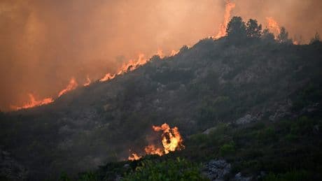 LIVE | Bosbrand Frankrijk inmiddels grootste sinds 1949: zeker 160 vierkante kilometer getroffen