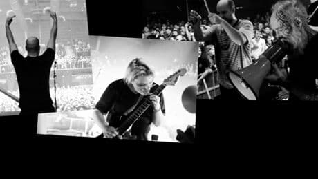 Team Scheisse: Wie Deutschlands erfolgreichste Punkband gegen den Egoismus kämpft