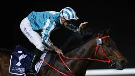 Romantic Warrior injury detailed after welcome home ceremony for top horse was scrapped