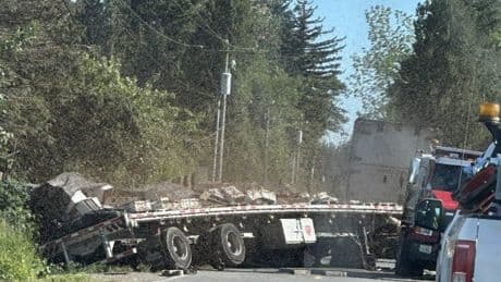 Warning after 250,000,000 bees escape when lorry crashes
