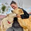 Inside the 'dark side' of tourist destination where a British woman was forced to pay thousands to rescue animals from 'death camp for dogs'