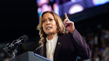 TikToker knocks Harris' 'weird' take on never released interview: 'Not good'