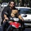 Iran expands dog walking ban